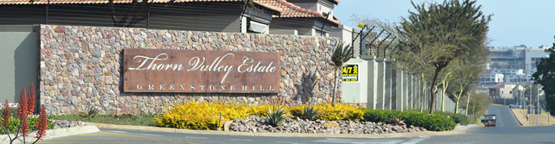 Edenvale nightlife scene at night