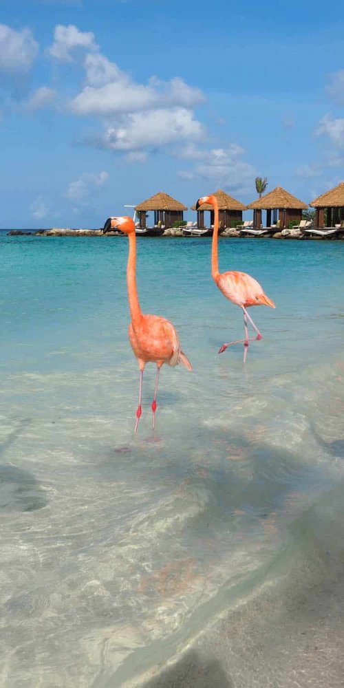 Nightlife ambience in Aruba