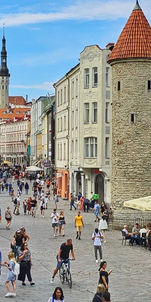 Tallinn Nightlife Ambience