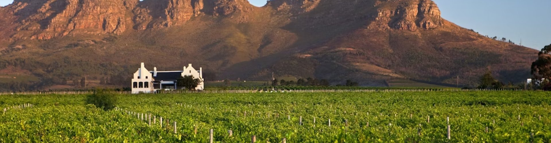 Best nightlife in Stellenbosch, ZA