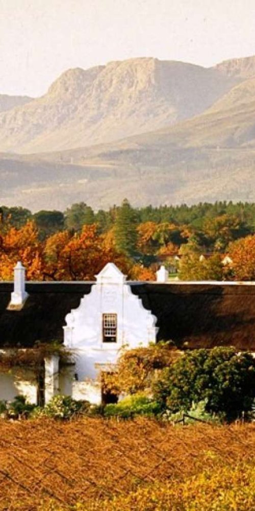 Stellenbosch nightlife ambience