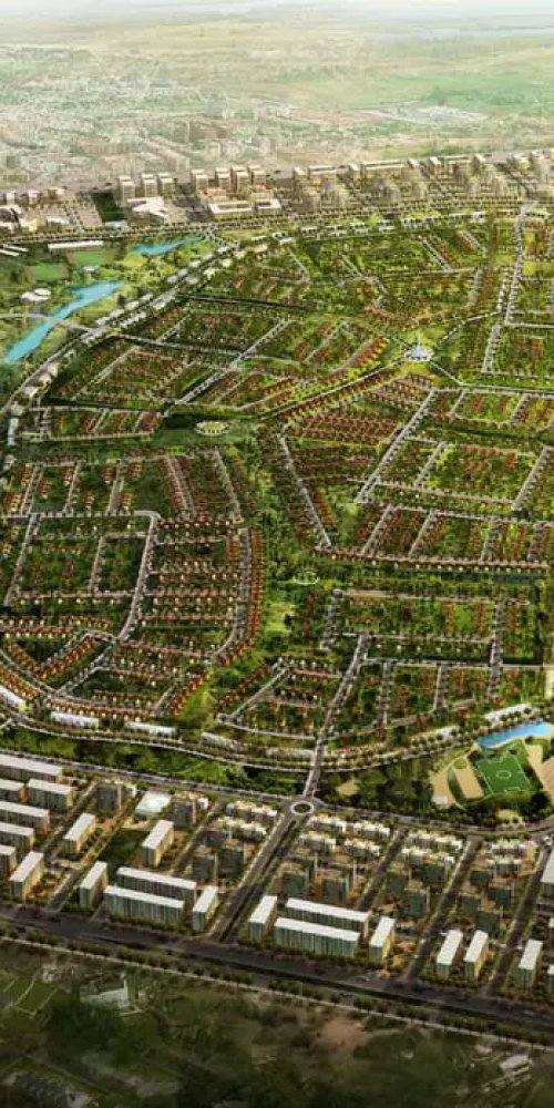 Cairo nightlife ambience