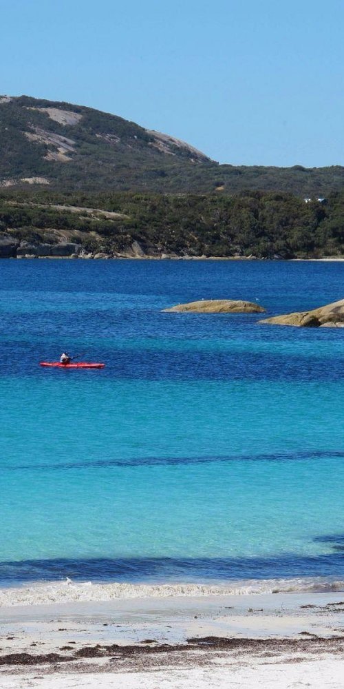 Albany nightlife ambiance