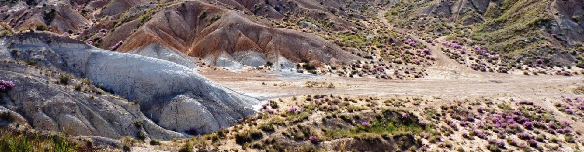 Best nightlife in Molina de Segura, ES