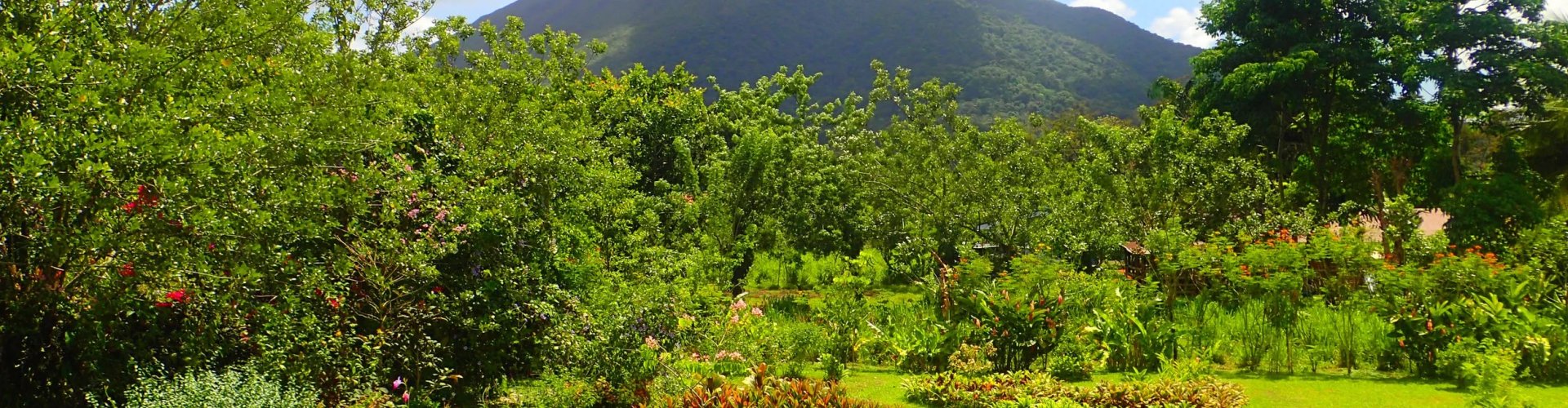 Nightlife scene in La Fortuna, CR